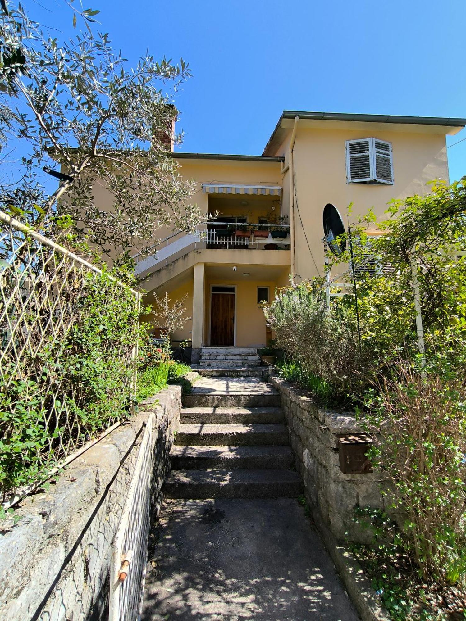 Linden Apartment *